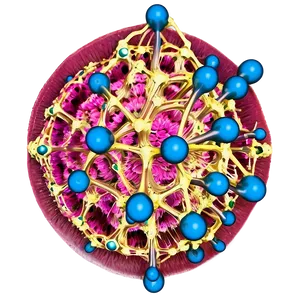 Nucleus Cell Biology PNG Wnf