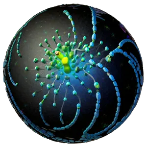 Nucleus Cellular Component PNG Scj PNG