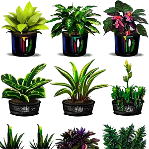 Nursery Plants PNG 59 PNG
