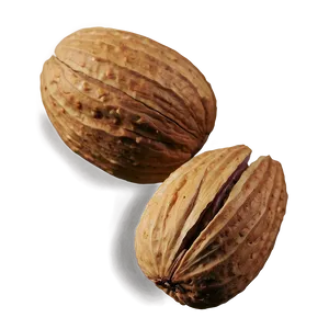 Nut B PNG image