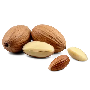 Nut C PNG image