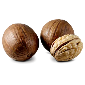 Nut D PNG image