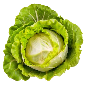 Nutrient-rich Lettuce Png Hcu24 PNG image