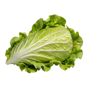 Nutrient-rich Lettuce Png Phn57 PNG image