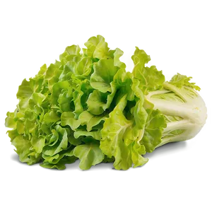 Nutrient-rich Lettuce Png Pli70 PNG image