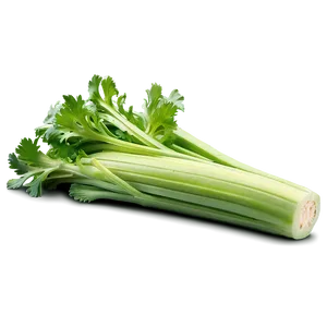 Nutritious Celery PNG 14