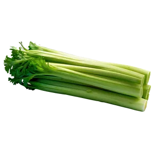 Nutritious Celery PNG 68