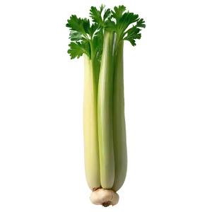 Nutritious Celery PNG 90