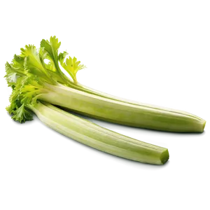 Nutritious Celery PNG Uip56 PNG