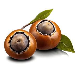 Nutritious Medlar PNG 05232024