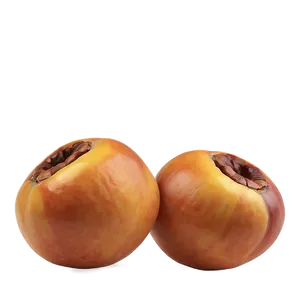 Nutritious Medlar PNG 05232024
