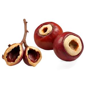 Nutritious Medlar PNG Kxt
