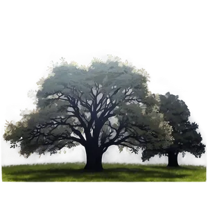 Oak Forest Mist PNG 31 PNG
