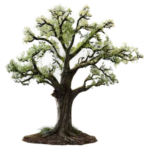 Oak Forest Mist PNG 84 PNG