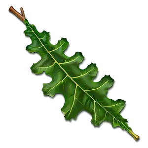 Oak Leaf Collection PNG 06292024