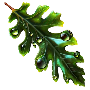 Oak Leaf Dewdrops PNG 39