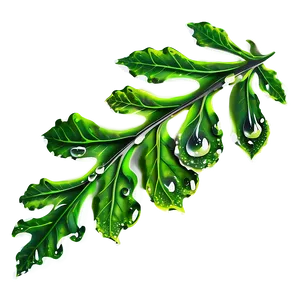 Oak Leaf Dewdrops PNG 84 PNG