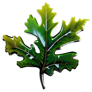 Oak Leaf For Design PNG 06292024