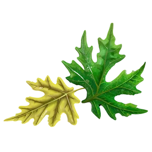 Oak Leaf For Design PNG Kus57 PNG