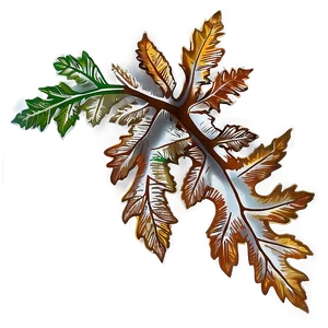 Oak Leaf For Education PNG 06292024