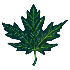 Oak Leaf For Education PNG Agg94 PNG