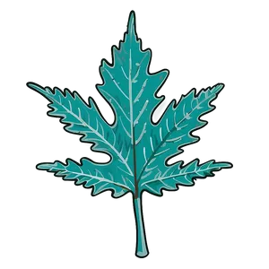 Oak Leaf For Education PNG Eay PNG