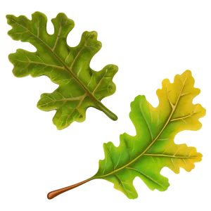 Oak Leaf In Landscape PNG Wsr42 PNG