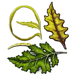 Oak Leaf In Nature PNG 06292024