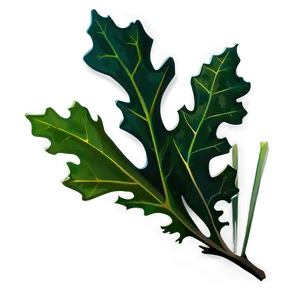 Oak Leaf In Nature PNG 33