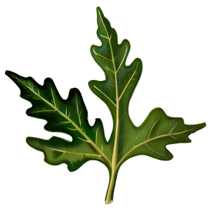 Oak Leaf In Nature PNG Ipn10 PNG