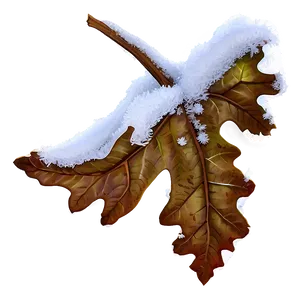 Oak Leaf In Snow PNG Juk PNG