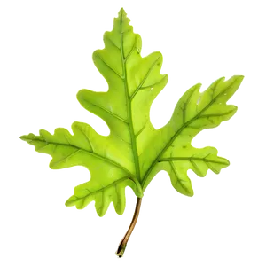 Oak Leaf In Spring PNG Nge42 PNG