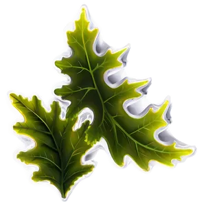 Oak Leaf Pattern PNG 06292024