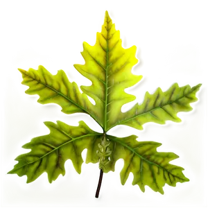 Oak Leaf Pattern PNG Fbb7 PNG