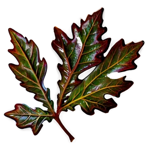 Oak Leaf PNG 05032024