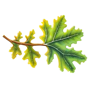 Oak Leaf PNG 22