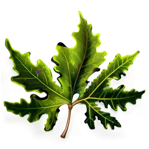 Oak Leaf Symbol PNG Ibt28 PNG