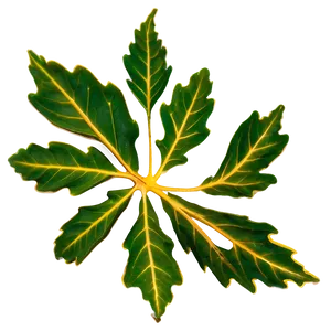 Oak Leaf Veins PNG Qyc68 PNG