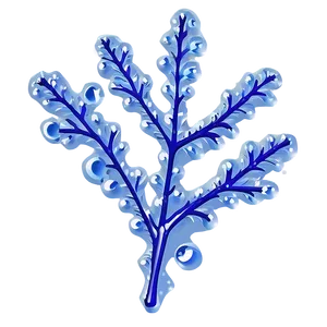 Oak Leaf With Dew PNG 06292024