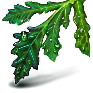 Oak Leaf With Dew PNG 91