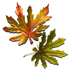 Oak Leaves Autumn Png 75 PNG image