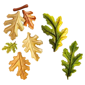 Oak Leaves Falling PNG 61