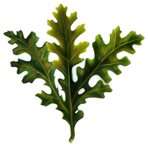 Oak Leaves PNG Skk
