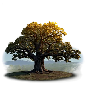 Oak Tree At Dawn PNG 06262024