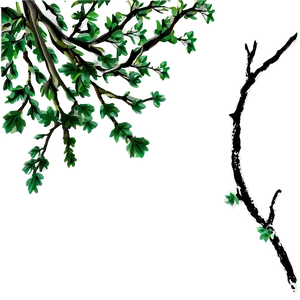 Oak Tree Branches Png 53 PNG image