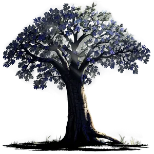 Oak Tree Shadow PNG 59 PNG