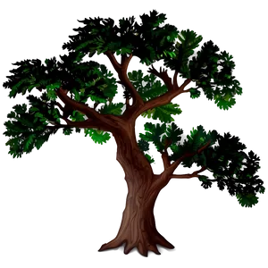 Oak Tree Shadow PNG 99