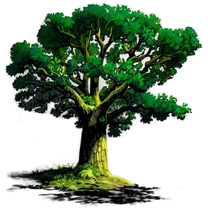 Oak Tree Shadow PNG Ojg