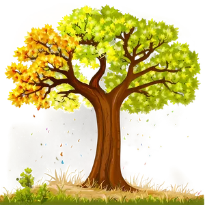 Oak Tree Through Seasons PNG 50 PNG