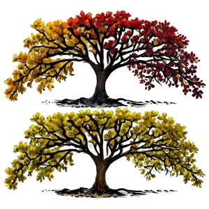 Oak Tree Through Seasons PNG Exg PNG